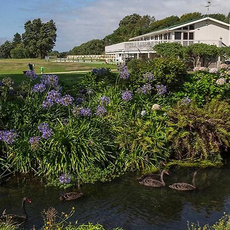 Waikanae Studio B&B Luaran gambar