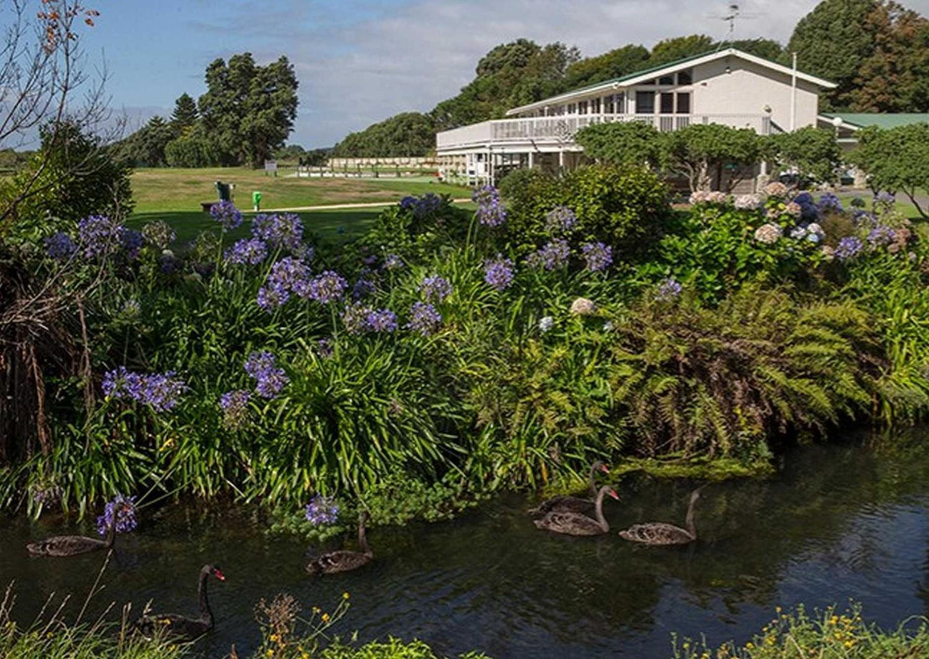 Waikanae Studio B&B Luaran gambar